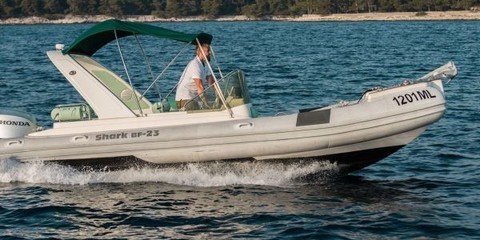 Shark 23