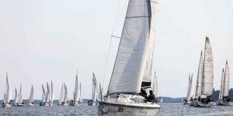 Northman Maxus 33.1 RS