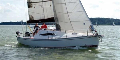 Delphia 26