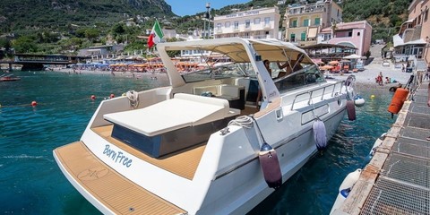 Piantoni 46