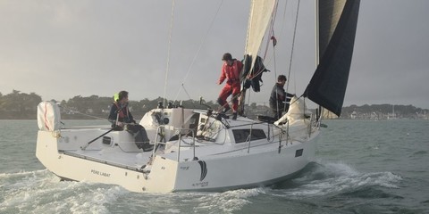 Pogo 30