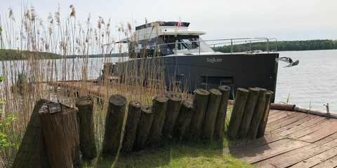 Futura 36
