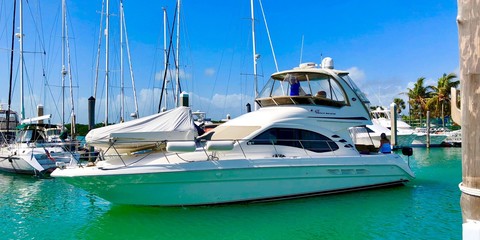 Sea ray 420 sedan bridge