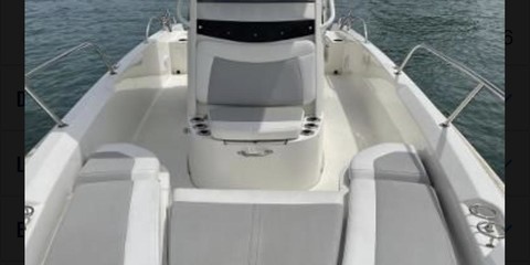 Boston Whaler 240 Dauntless