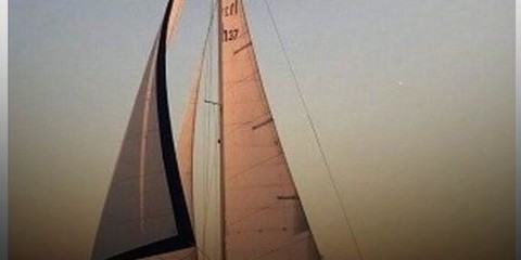 Marlow-Hunter cherubini 37