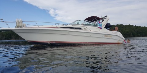 Sea Ray 310 Sundancer