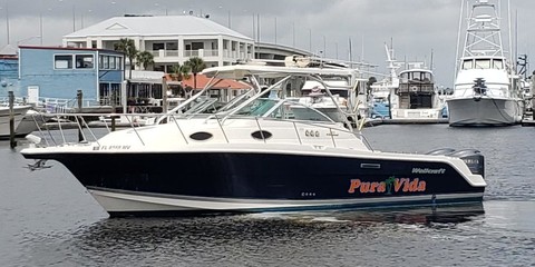 Wellcraft 290 Coastal