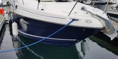Sea ray 280 sun sport