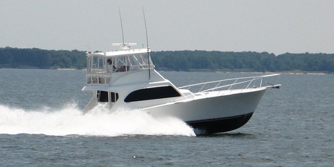 Post 50 sportfish