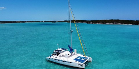 Dolphin 460