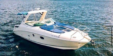 Sea Ray 310 Sundancer