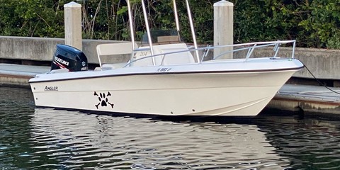 Angler Pro Boats 2900 center console