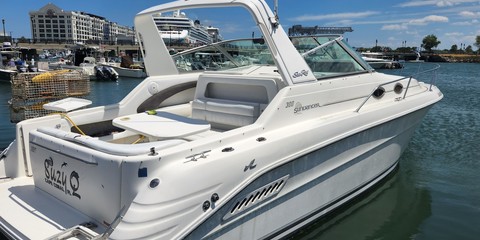 Sea ray sundancer
