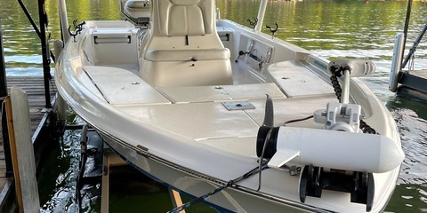 Blue wave 2200 pure bay