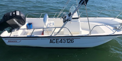Boston Whaler 170 Montauk