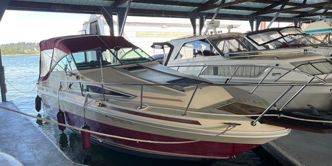 Sea ray sundancer