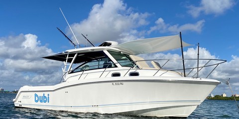 Boston Whaler 315 Conquest