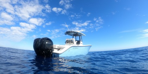 Cobia 217 center console