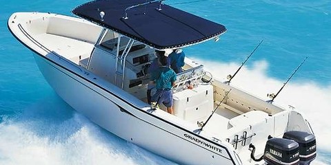 Grady white 306 bimini cc