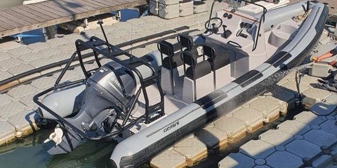Gemini 650