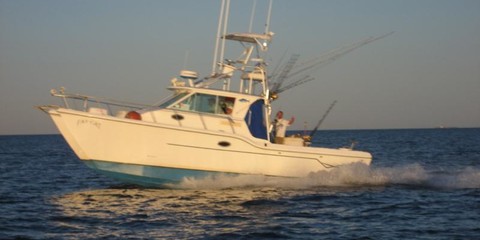 Baha cruisers 296 king cat