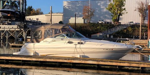 Sea ray sundancer