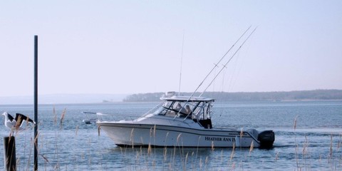 Grady-White Express 330