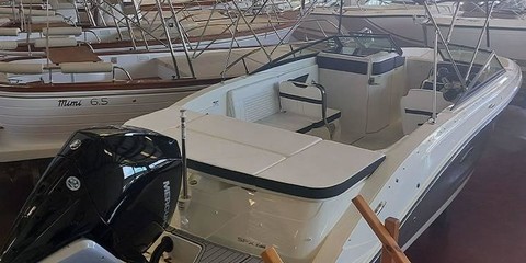 Sea Ray SPX 230 OB