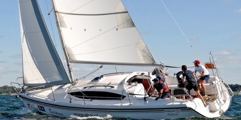 Northman Maxus 33.1 RS