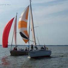 Solina 800 (Джаз (Jazz))