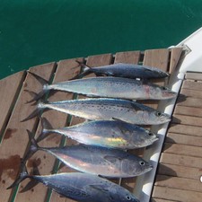 Beneteau Oceanis 430