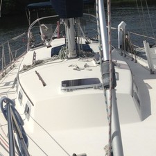 Bayfield 36