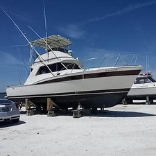 Chris-Craft 36 Commander