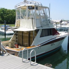 Trojan 36 Flybridge Convertible