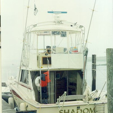 Trojan 36 Flybridge Convertible