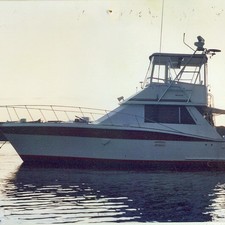 Trojan 36 Flybridge Convertible