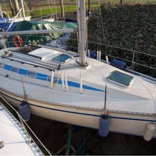 Elan 31S