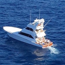 Viking Enclosed Bridge