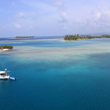 Alliaura Marine Feeling 446