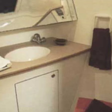 Sea Ray hunter viper 450