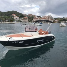 Fisher 20