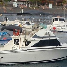 Bertram 28 Flybridge