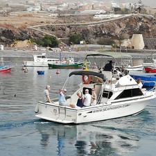 Bertram 28 Flybridge