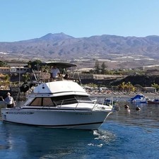 Bertram 28 Flybridge