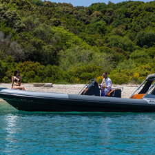 Attack Rib 8