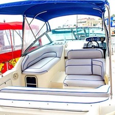 Sea Ray 270