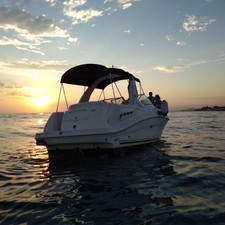 Sea Ray 315 Sundancer
