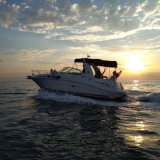 Sea Ray 315 Sundancer