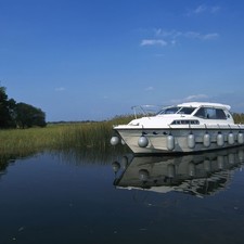 Wave Princess 31