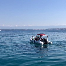 Tiger Marine 650